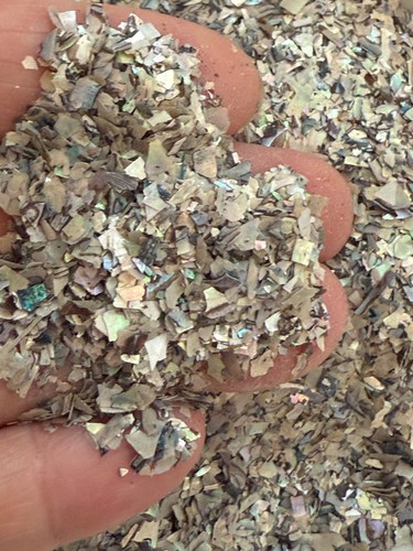 Natural shell pieces 2oz - pieces,