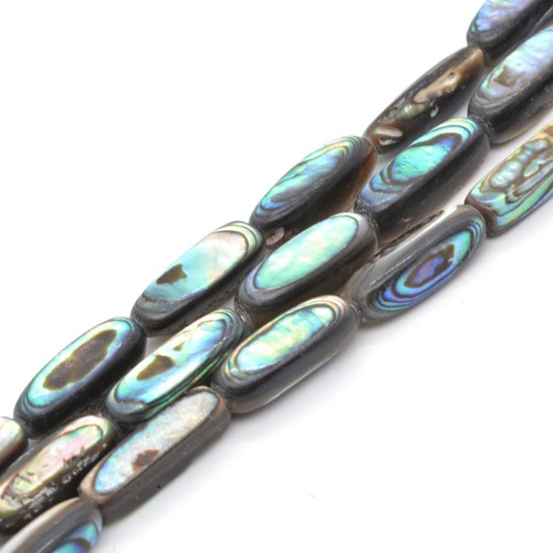 Natural abalone shell - shell, 16mm