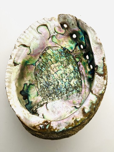 Large natural iridescent - large,